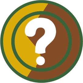 Why should you ask this question